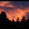 20150224_0029